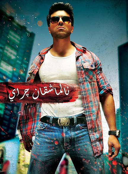 ئالماشقان چىراي
